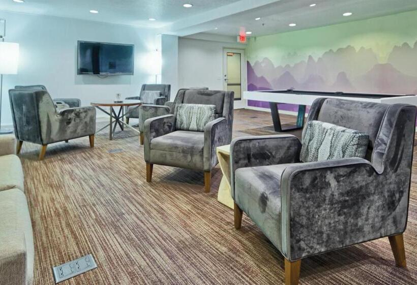 هتل Desert Rose Resort