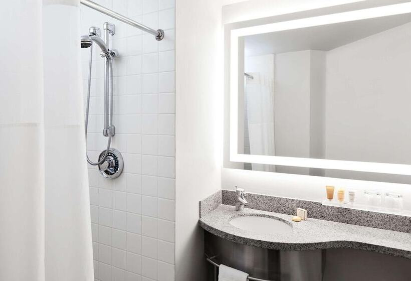 Radisson Hotel New York Wall Street