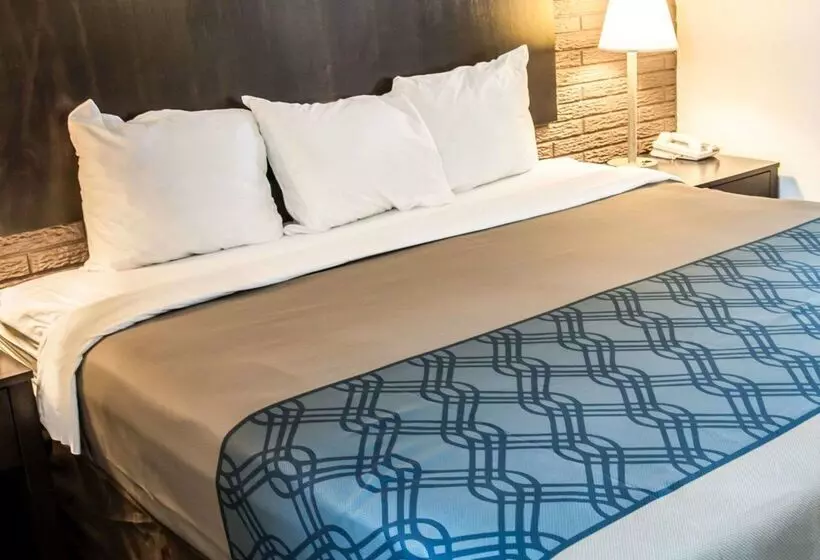 هتل Rodeway Inn & Suites Wilmington North