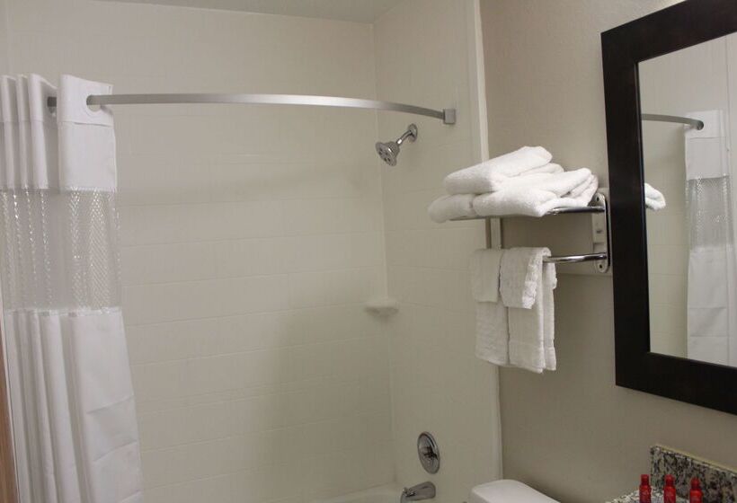 Otel Ramada By Wyndham Cedar Rapids South