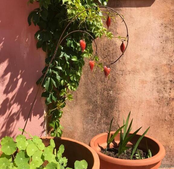 ペンション Les Cailloux Dorés