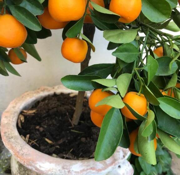 ペンション Les Cailloux Dorés