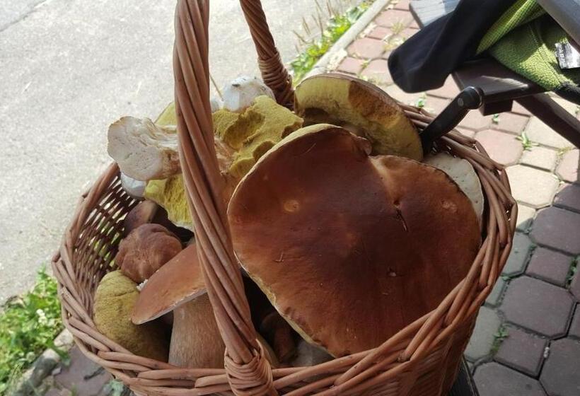 Pension Martinské údolí