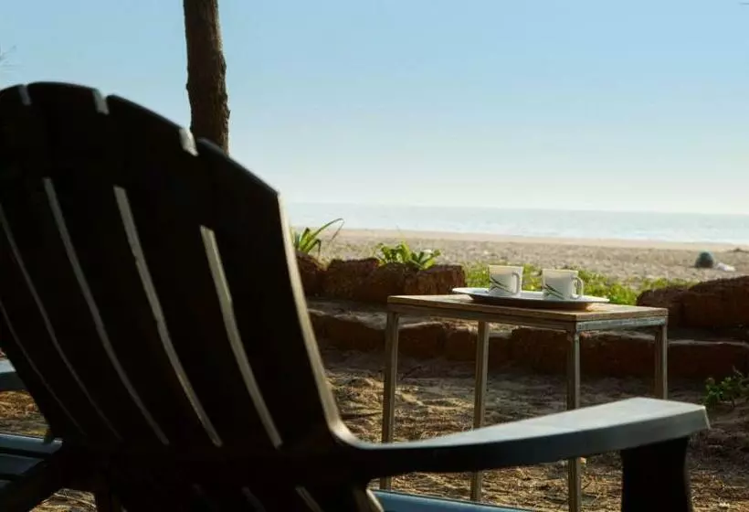 リゾートホテル Blue Ocean Sands   On The Beach