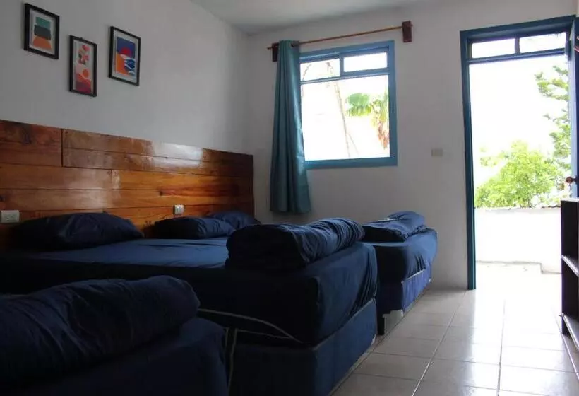 Hospedaria Casa Blanca   San Pedro