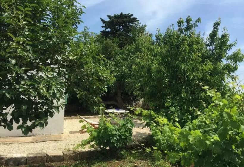 ホテル Masseria Camarda