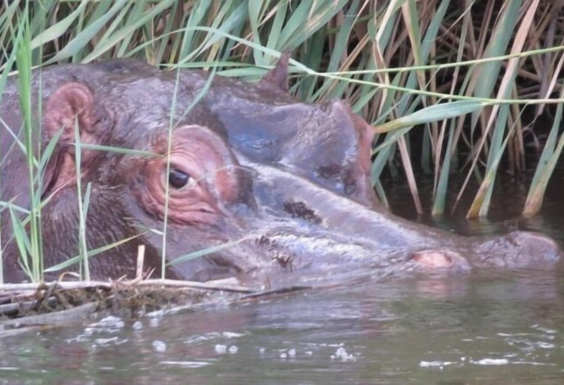 בית מלון כפרי New Holme Nature Lodge