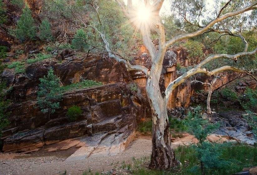 Hotel Rural Skytrek Willow Springs Station