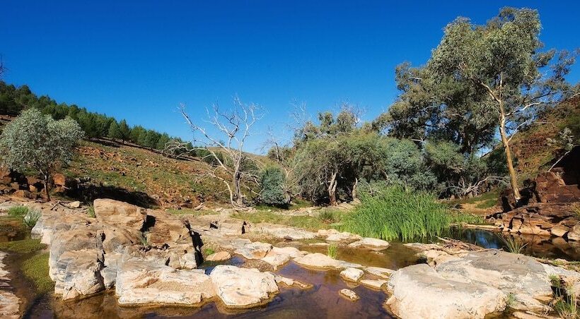 Hotel Rural Skytrek Willow Springs Station