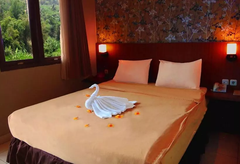 Hotel Villa Chocolate