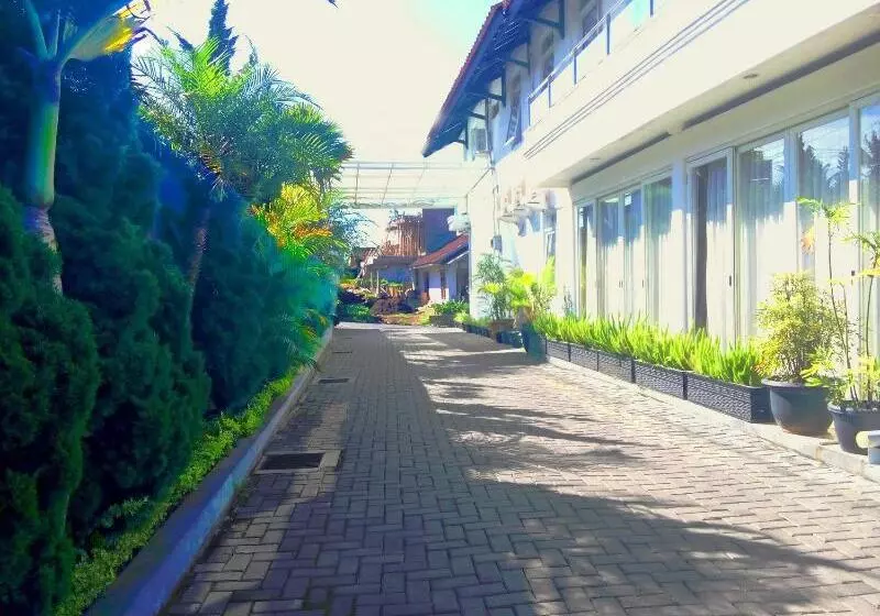 Hotel Villa Chocolate