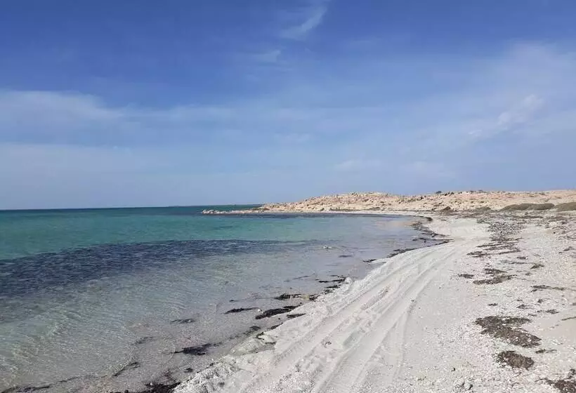 Majatalo Dar Chick Yahia