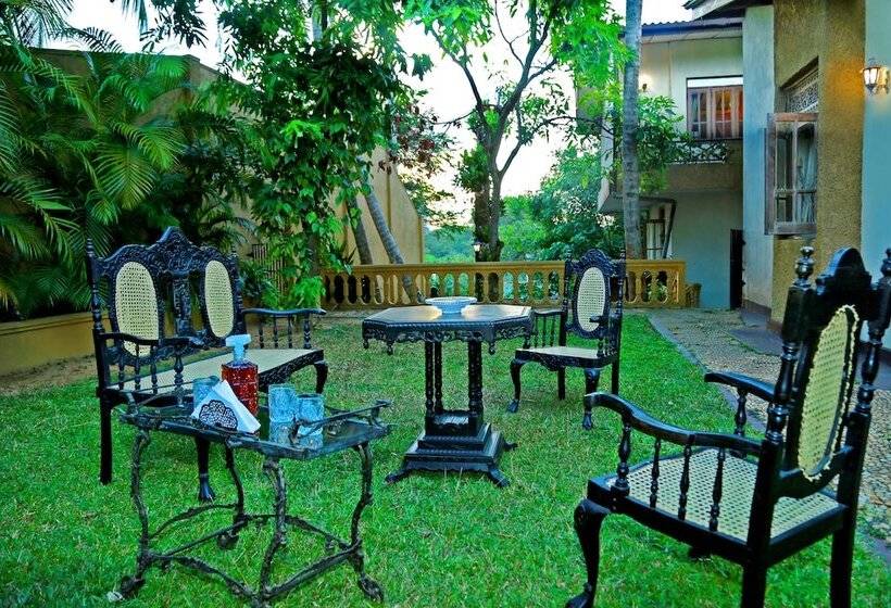 פנסיון Heina Villa Colombo