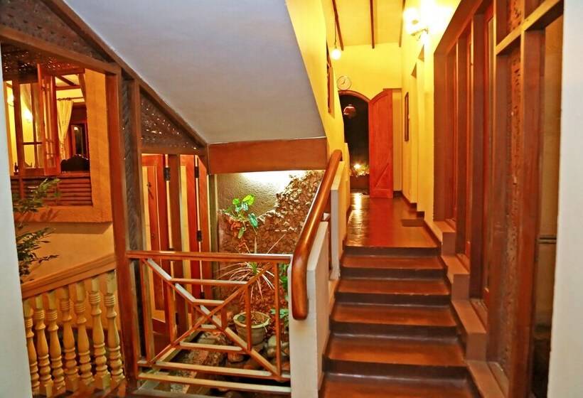 פנסיון Heina Villa Colombo