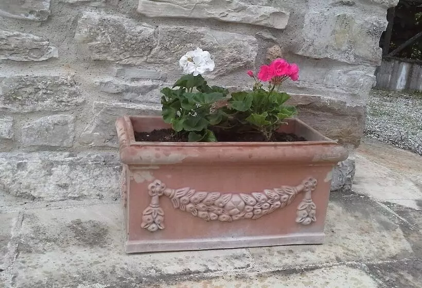 Aamiaismajoitus (B&B) Agriturismo Il Casalone