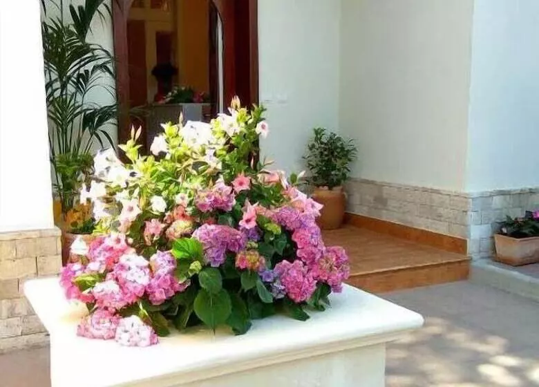 Aamiaismajoitus (B&B) Le Camelie