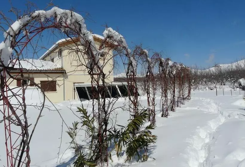 田舎風ホテル Les Jardins D'azrou