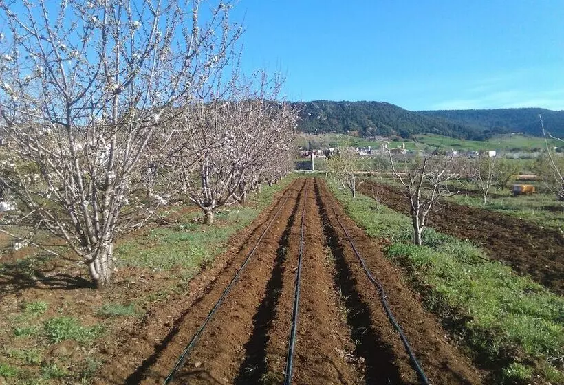 田舎風ホテル Les Jardins D'azrou