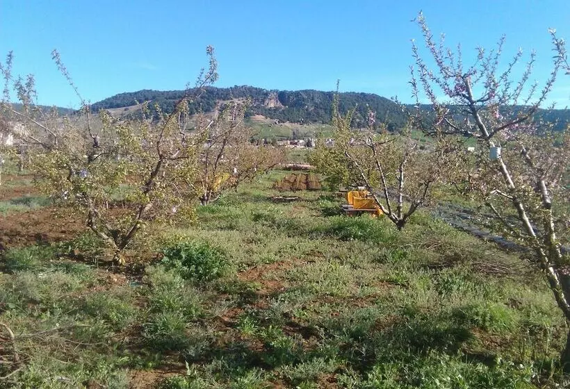 田舎風ホテル Les Jardins D'azrou