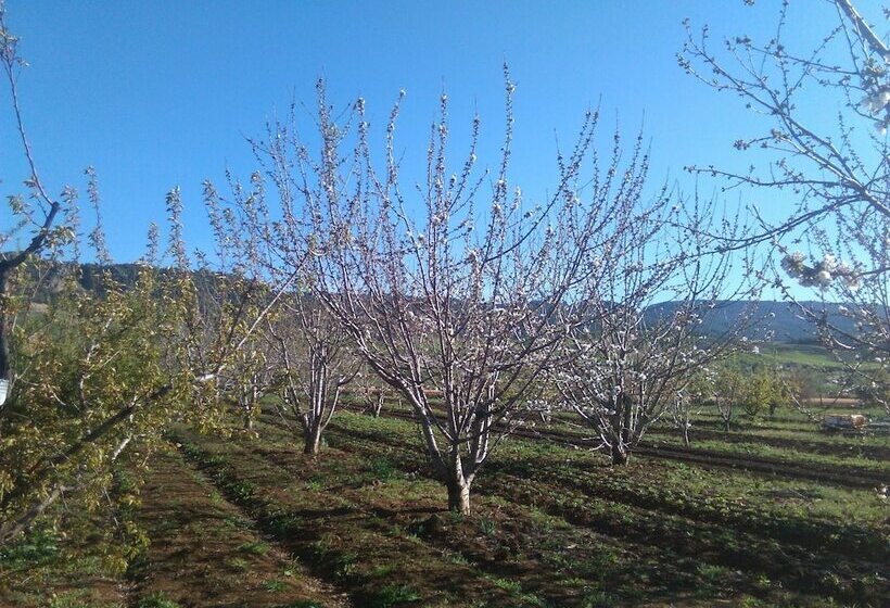 田舎風ホテル Les Jardins D'azrou