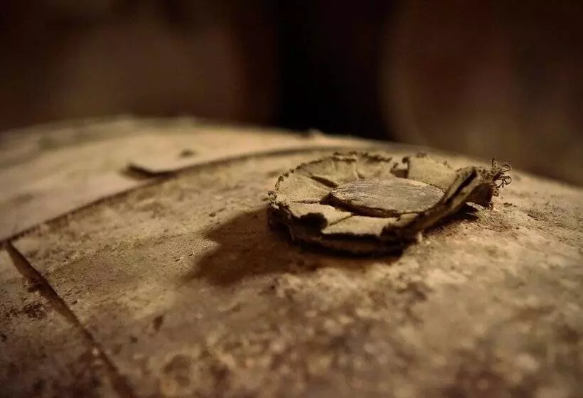 Majatalo Domaine D' Arcalis