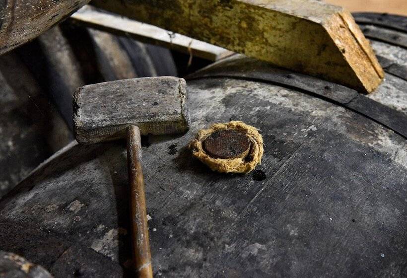 بنسيون Domaine D' Arcalis