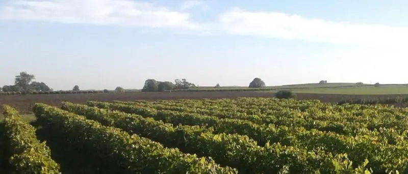 ペンション Domaine D' Arcalis