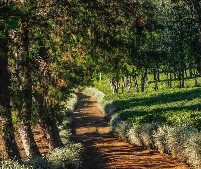 Majatalo Hatale Mini Worlds End Bungalow