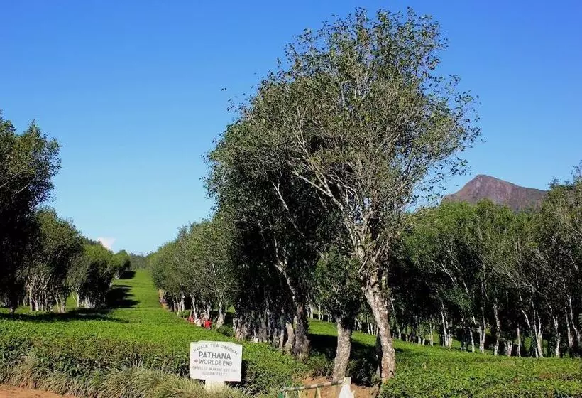 Majatalo Hatale Mini Worlds End Bungalow