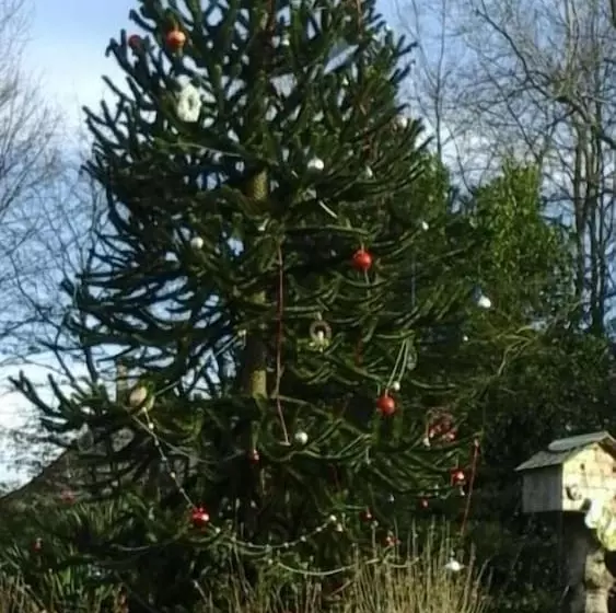 Majatalo Maison D Hôtes La Lavandière