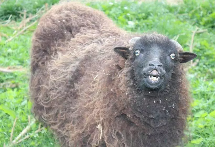 Majatalo Maison D Hôtes La Lavandière