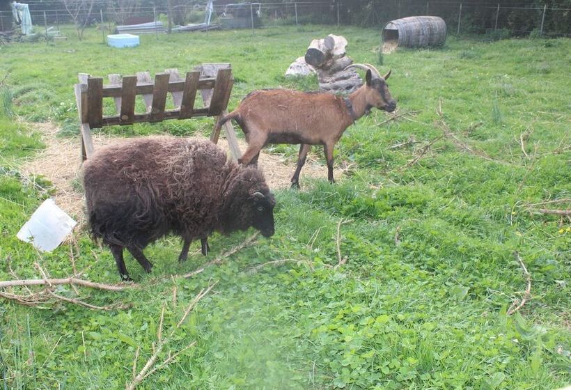 بنسيون Maison D Hôtes La Lavandière