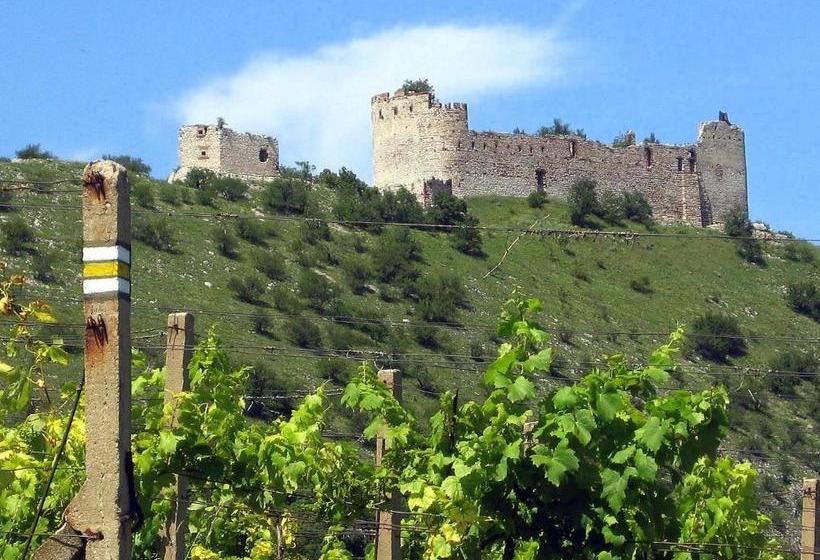 펜션 Penzion Bouquet