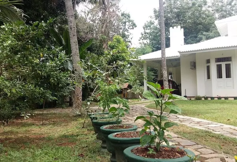 ペンション White House