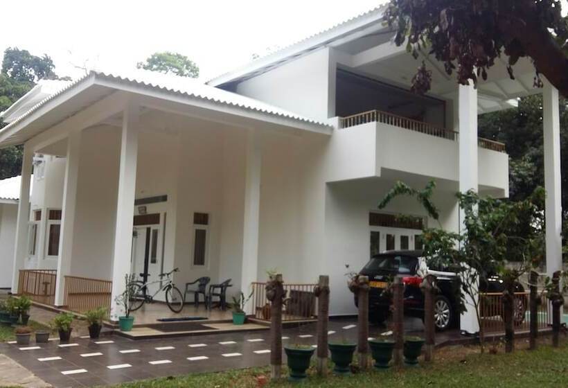 بنسيون White House