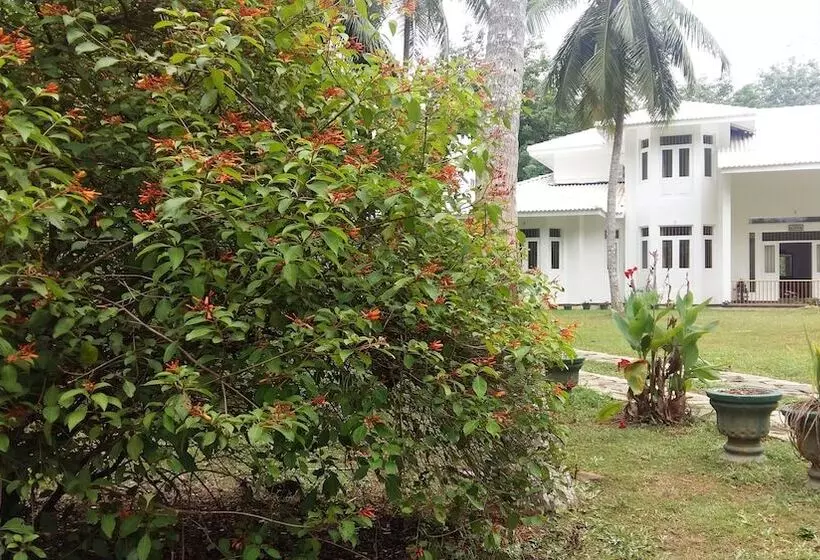 ペンション White House