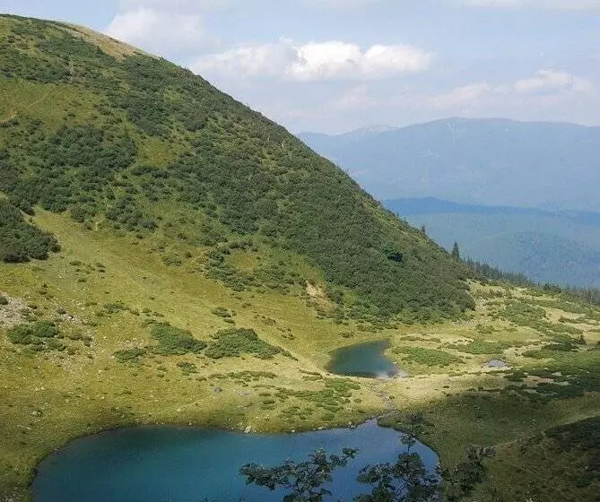 Majatalo Zelena Dacha