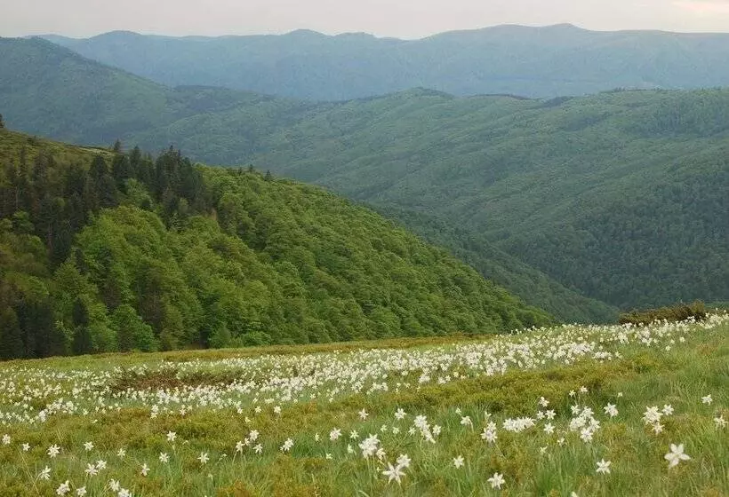 Majatalo Zelena Dacha