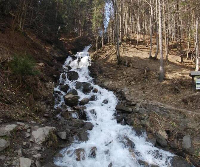 ペンション Zelena Dacha