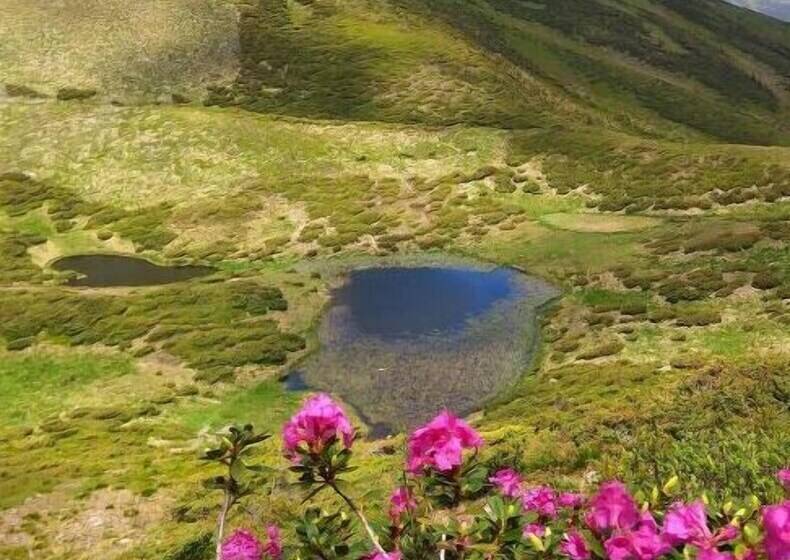 ペンション Zelena Dacha