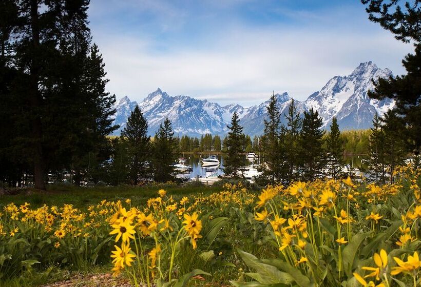 فندق Colter Bay Village