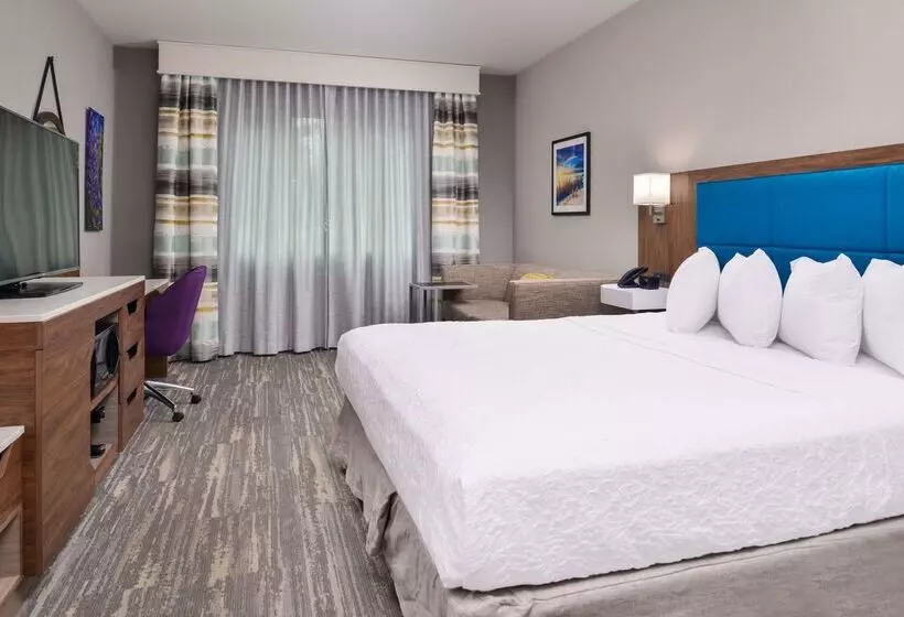 ホテル Hampton Inn & Suites Boise/spectrum