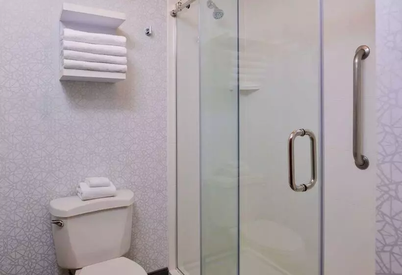 ホテル Hampton Inn & Suites Boise/spectrum