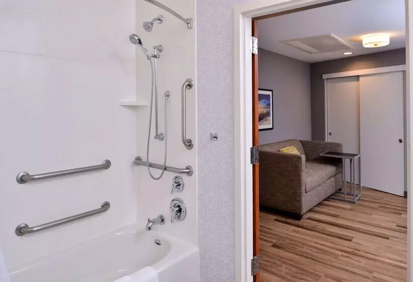 ホテル Hampton Inn & Suites Boise/spectrum