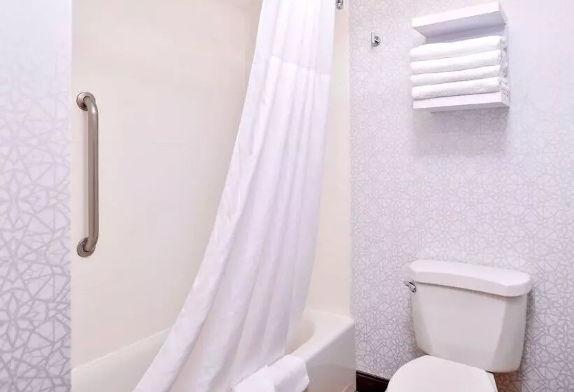 ホテル Hampton Inn & Suites Boise/spectrum