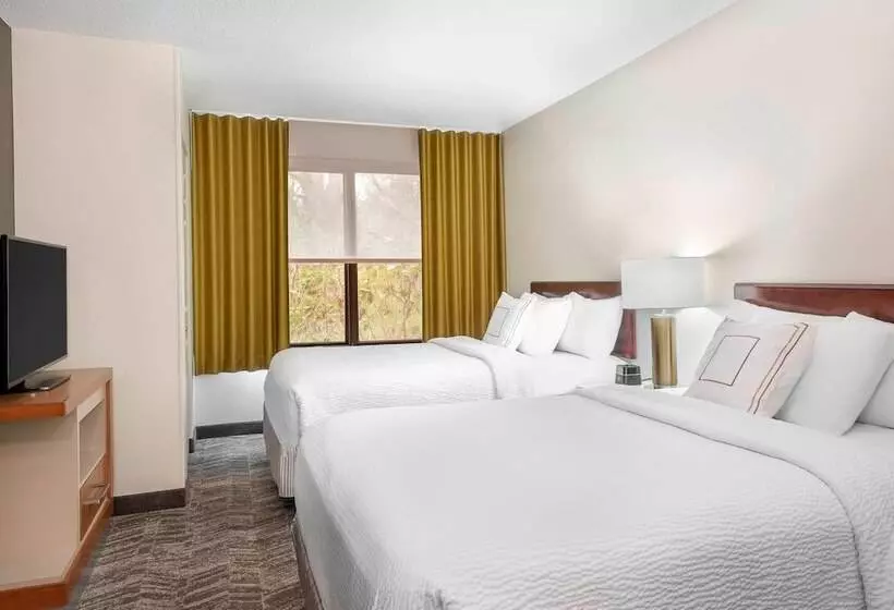 ホテル Springhill Suites Asheville