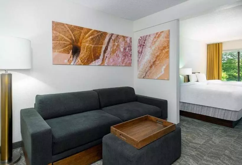 ホテル Springhill Suites Asheville