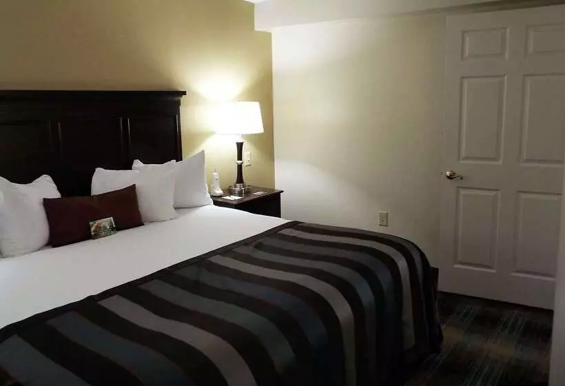 Hotel Spark By Hilton Greensboro