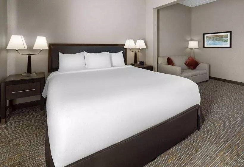 酒店 La Quinta Inn & Suites By Wyndham Mooresville