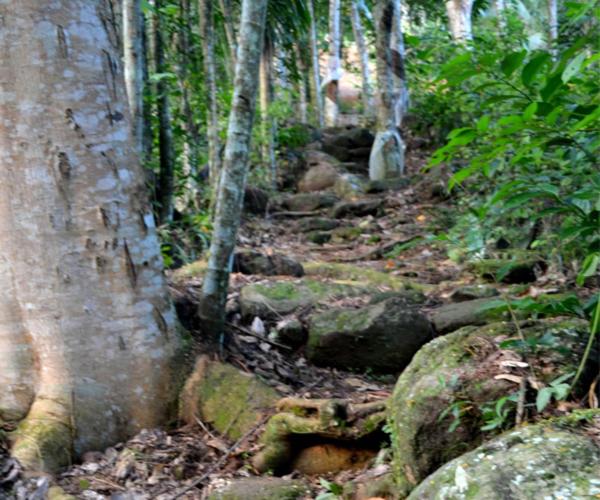 호텔 The Retreat Sri Lanka